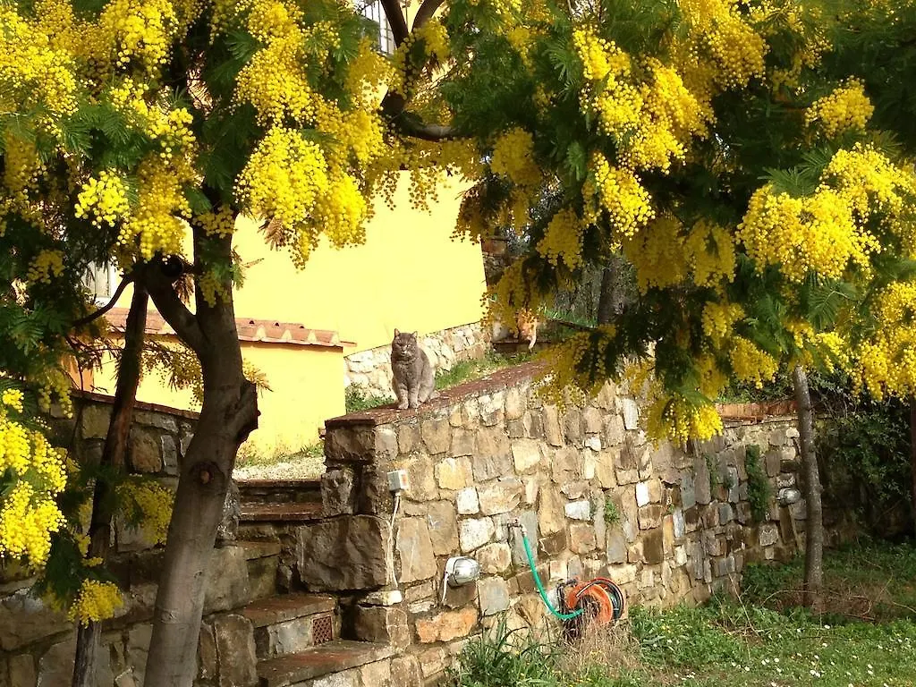 Villa Il Casalone Impruneta Italia